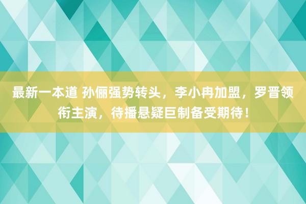 最新一本道 孙俪强势转头，李小冉加盟，罗晋领衔主演，待播悬疑巨制备受期待！