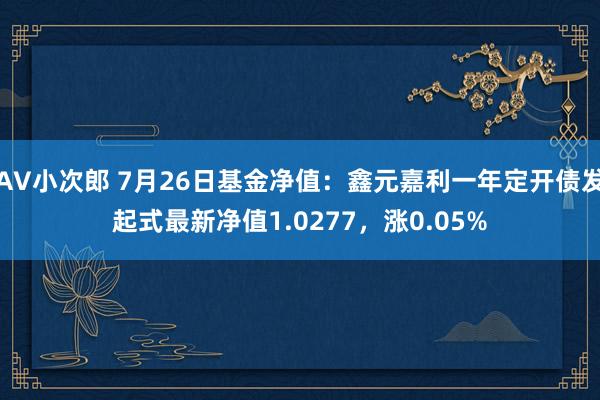 AV小次郎 7月26日基金净值：鑫元嘉利一年定开债发起式最新净值1.0277，涨0.05%