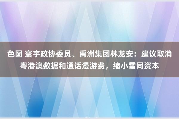 色图 寰宇政协委员、禹洲集团林龙安：建议取消粤港澳数据和通话漫游费，缩小雷同资本