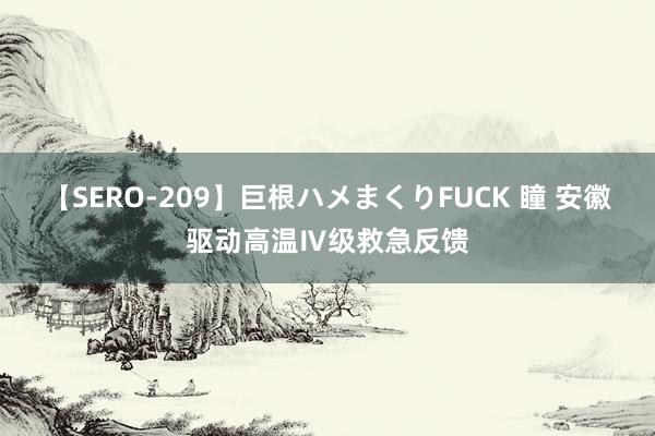 【SERO-209】巨根ハメまくりFUCK 瞳 安徽驱动高温Ⅳ级救急反馈