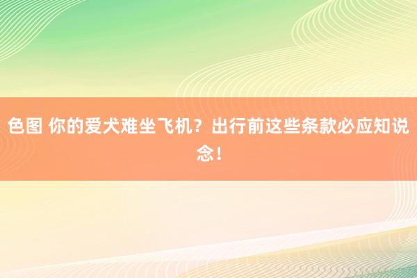 色图 你的爱犬难坐飞机？出行前这些条款必应知说念！