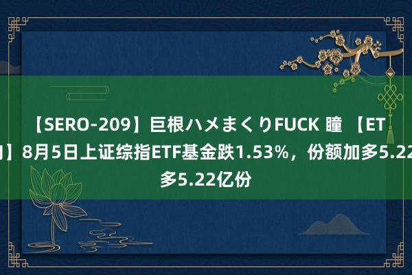 【SERO-209】巨根ハメまくりFUCK 瞳 【ETF动向】8月5日上证综指ETF基金跌1.53%，份额加多5.22亿份