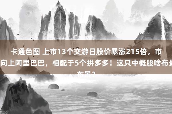 卡通色图 上市13个交游日股价暴涨215倍，市值向上阿里巴巴，相配于5个拼多多！这只中概股啥布景？