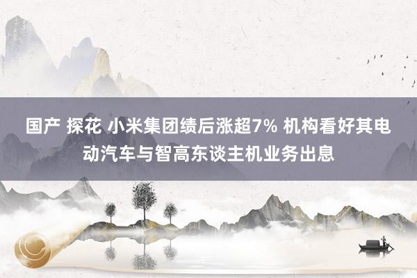 国产 探花 小米集团绩后涨超7% 机构看好其电动汽车与智高东谈主机业务出息