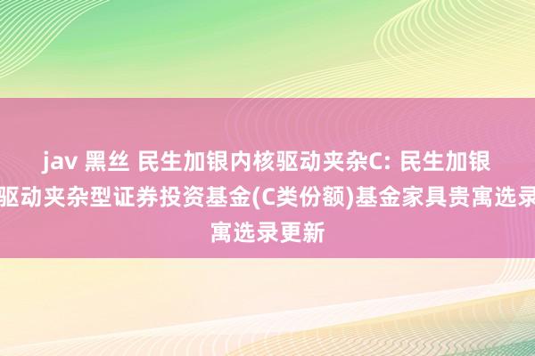 jav 黑丝 民生加银内核驱动夹杂C: 民生加银内核驱动夹杂型证券投资基金(C类份额)基金家具贵寓选录更新