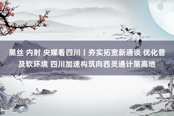 黑丝 内射 央媒看四川丨夯实拓宽新通谈 优化普及软环境 四川加速构筑向西灵通计策高地