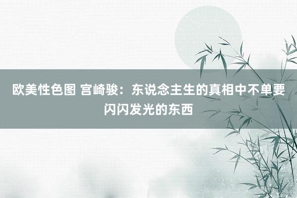 欧美性色图 宫崎骏：东说念主生的真相中不单要闪闪发光的东西