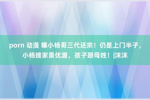 porn 动漫 曝小杨哥三代还宗！仍是上门半子，小杨嫂家景优渥，孩子跟母姓！|沫沫