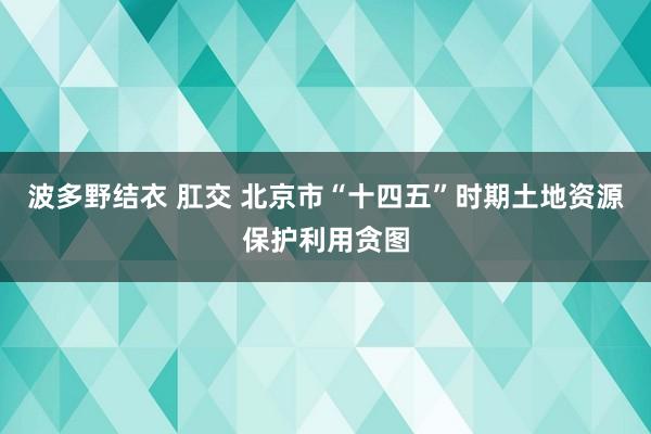 波多野结衣 肛交 北京市“十四五”时期土地资源保护利用贪图